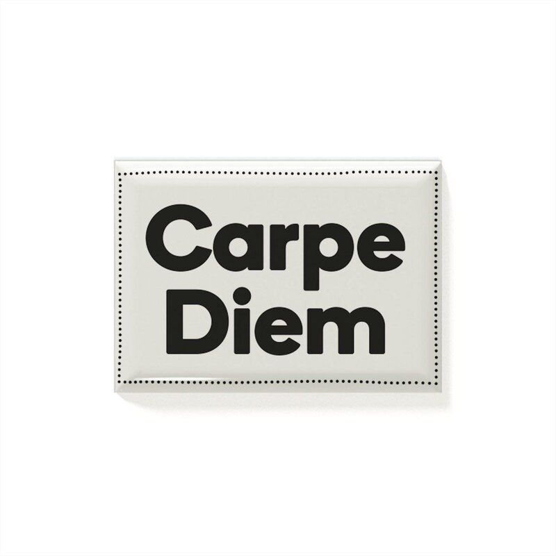 Magnet Carpe Diem