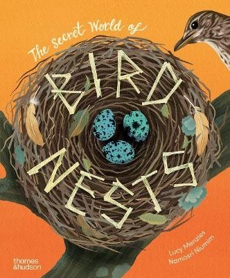 The Secret World of Bird Nests