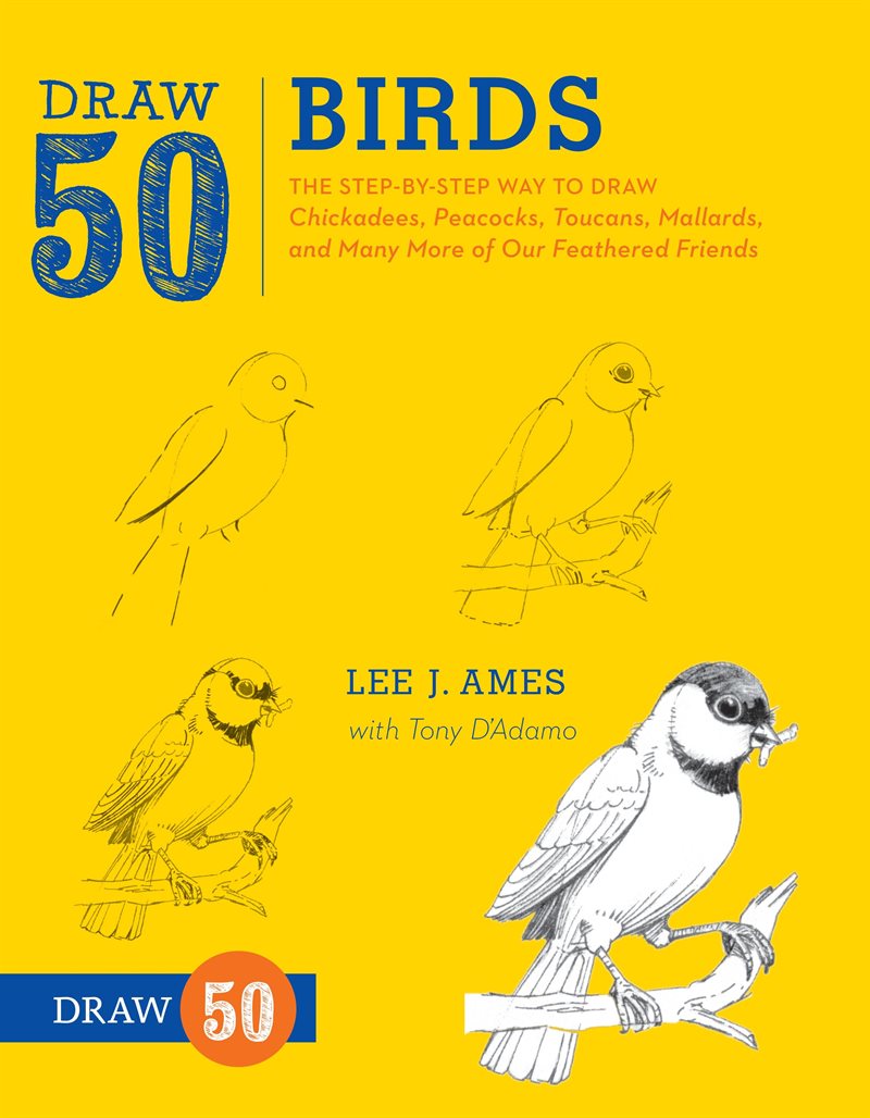 Draw 50 birds