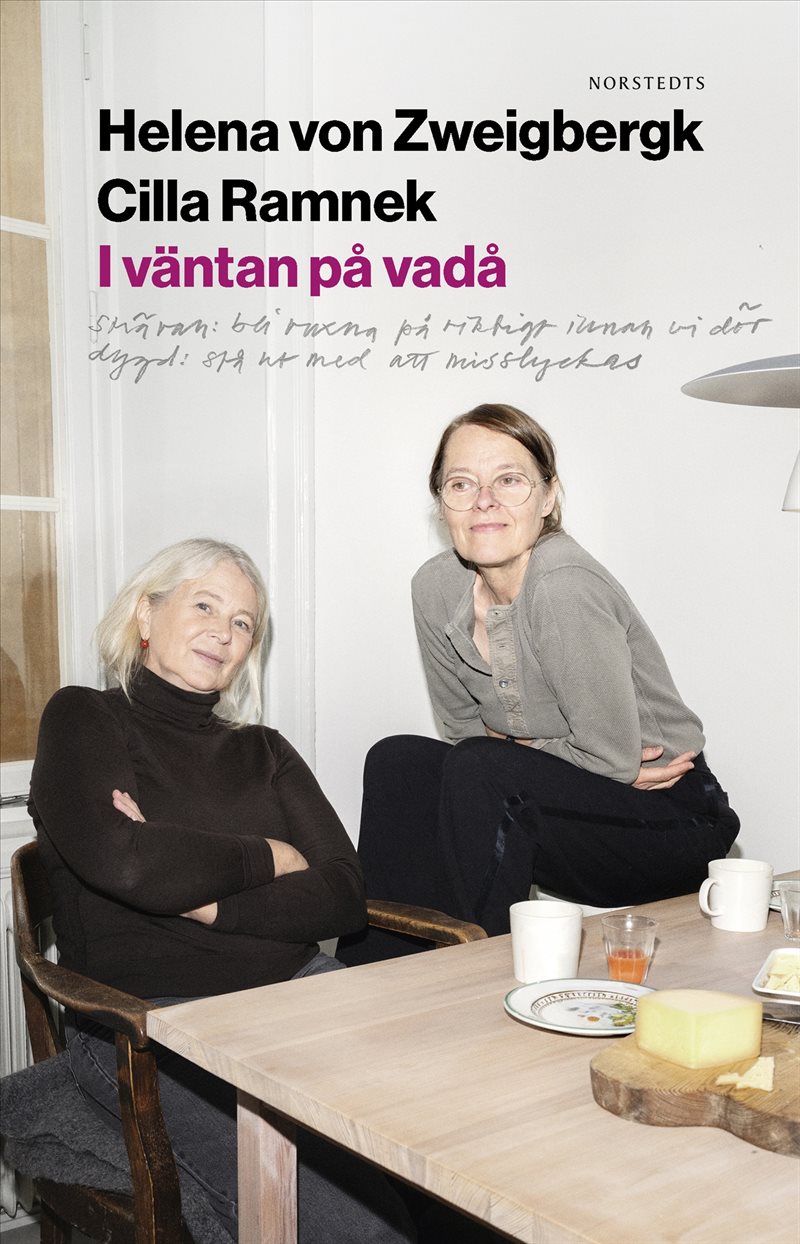 I väntan på vadå : Strävan: bli vuxna på riktigt innan vi dör; Dygd: stå ut med att misslyckas