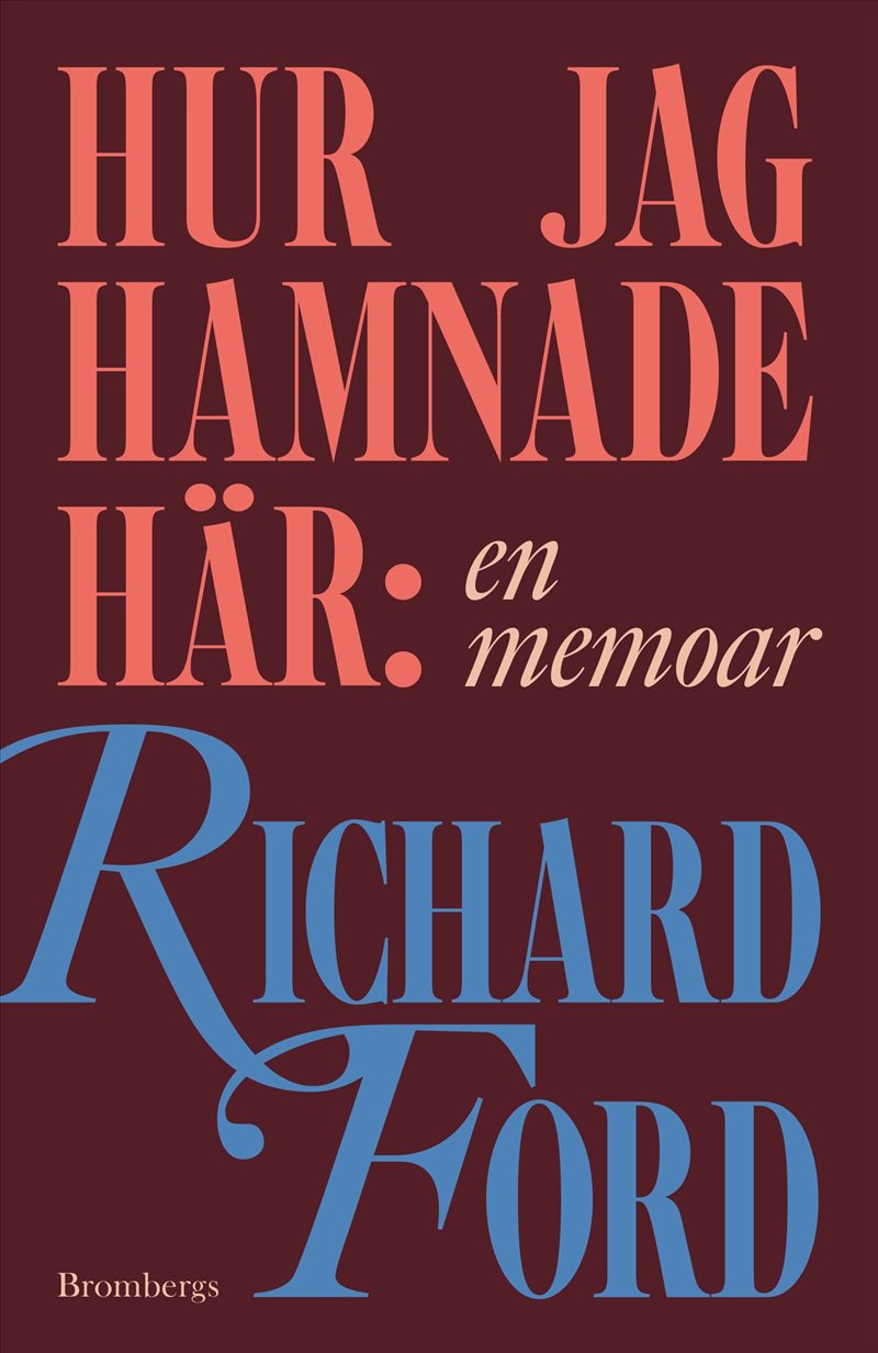 Hur jag hamnade här : En memoar