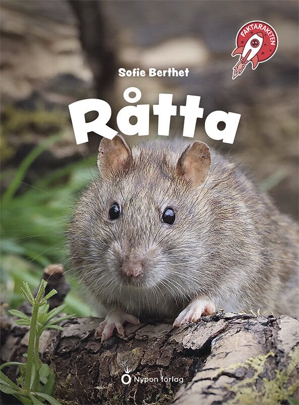 Råtta
