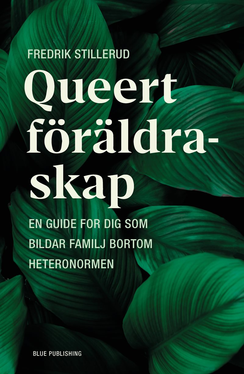 Queert föräldraskap: en guide för dig som bildar familj bortom heteronormen