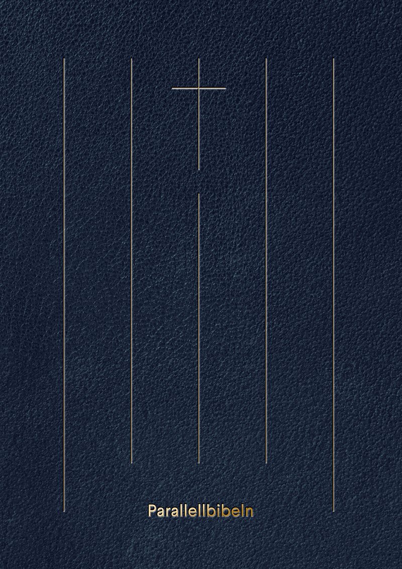 Parallellbibeln - Nya testamentet i sex versioner